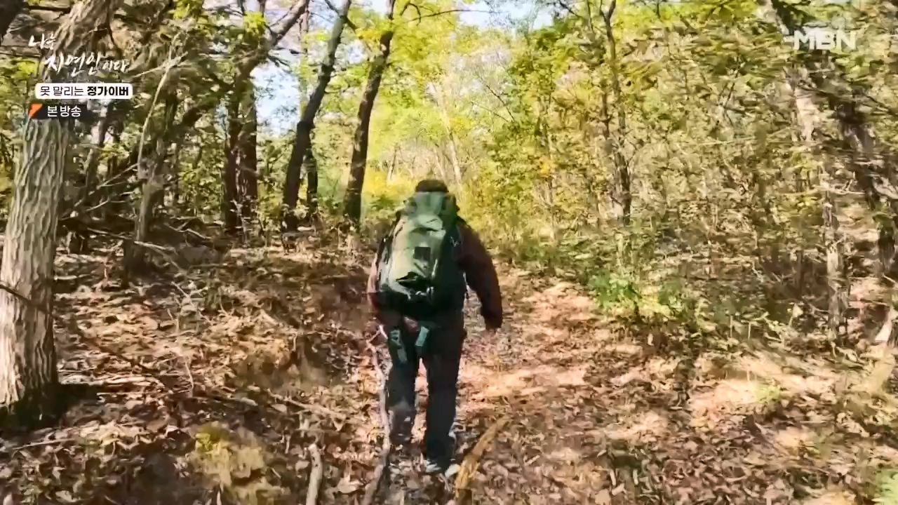 나는 자연인이다.E580.231116p-NEXT.mp4_20231116_202457.857.jpg