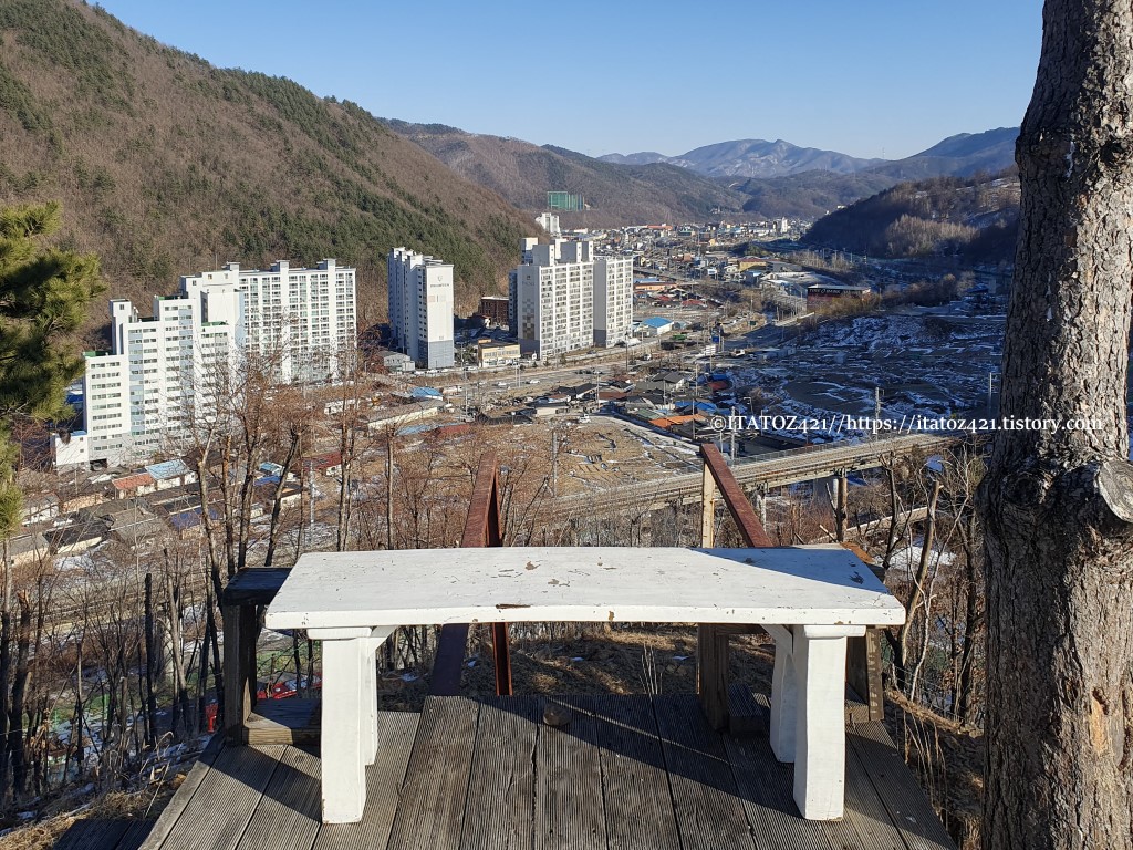 강원랜드 주변 볼거리 몽토랑 산양 목장 카페