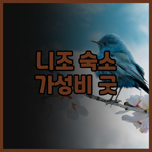 교토 니조 숙소 호텔 리브맥스 교토 