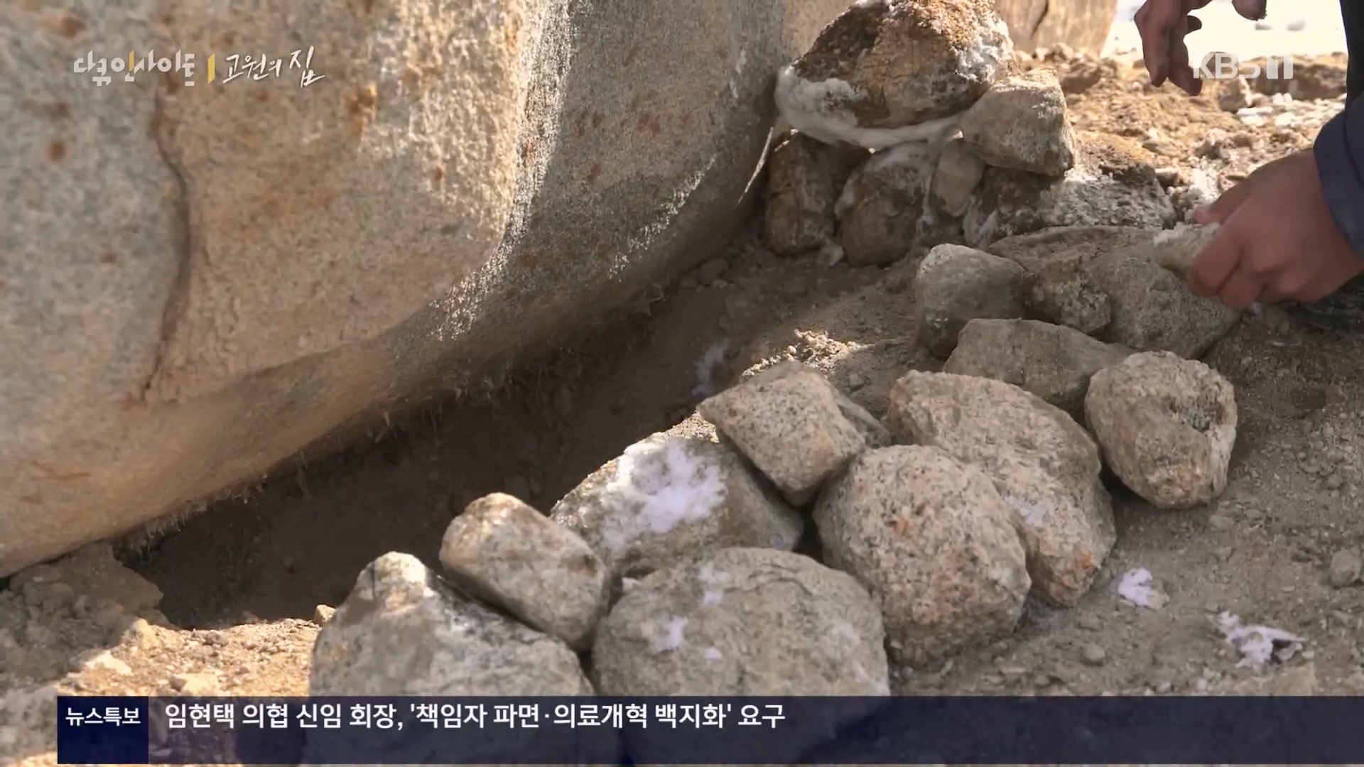 다큐 인사이트.E176.240328p.H264-F1RST.mp4_20240330_161051.989.jpg