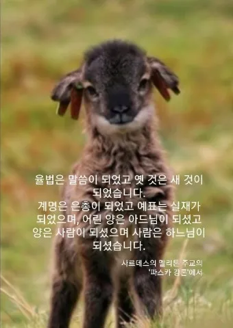 부활 팔일 축제 부활절을 오래 기억하는 묵상_8