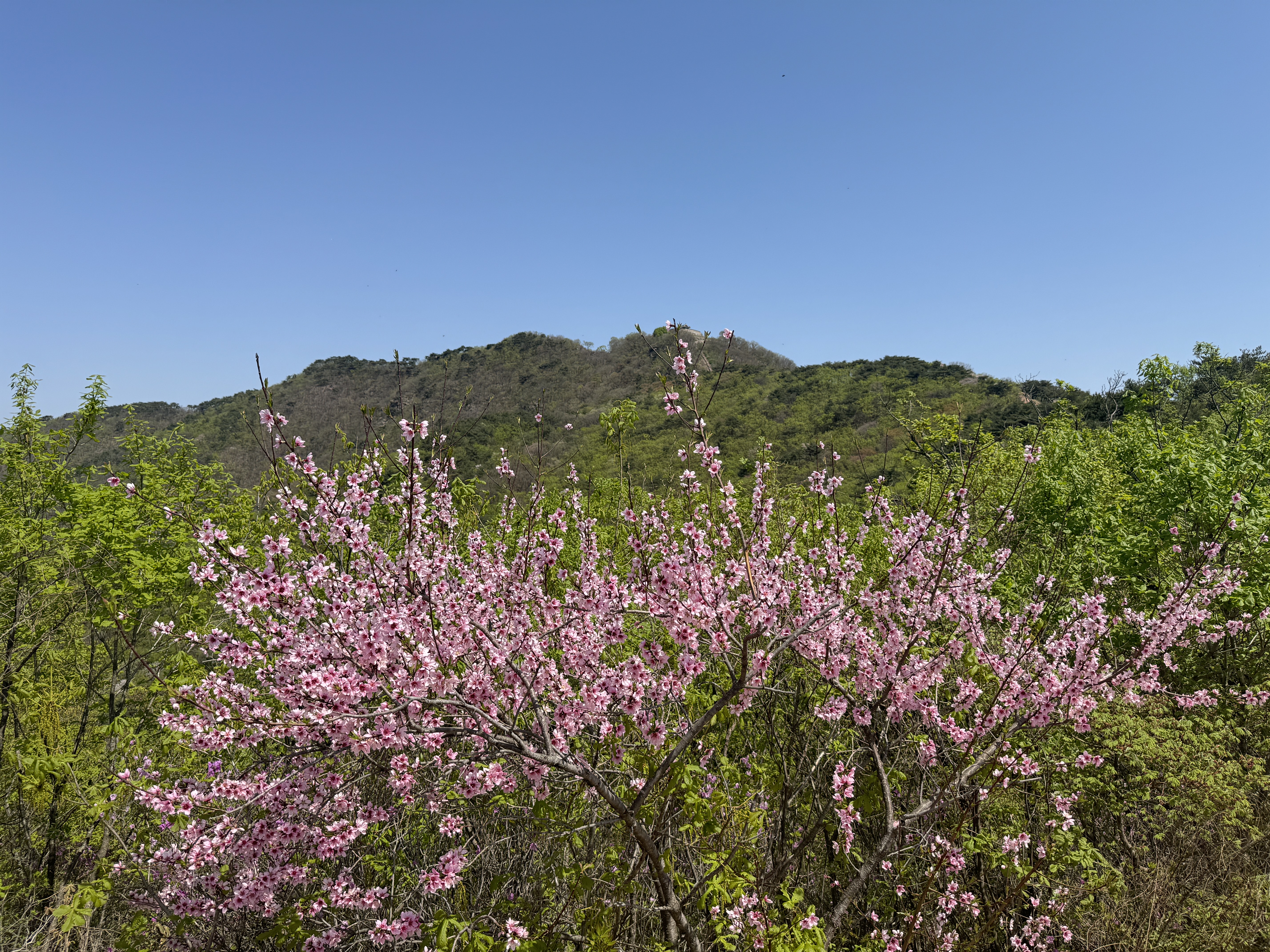 문수산성