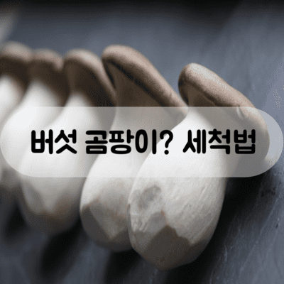 버섯 곰팡이