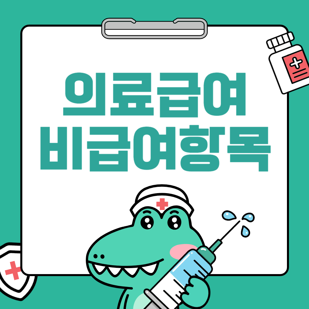 의료급여 비급여 항목