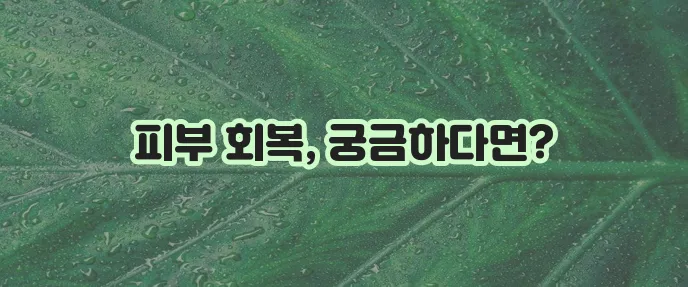 피부 레이저 시술 후 재생기간 꼭 알아봐야겠죠?