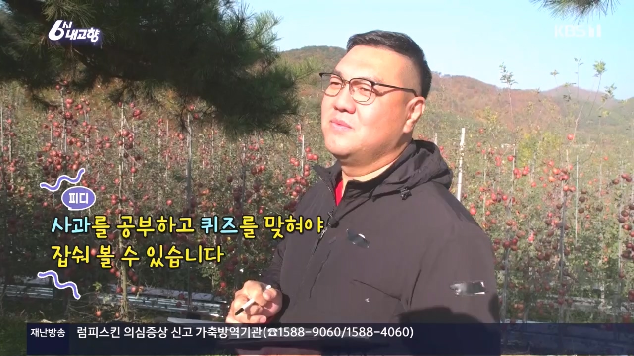 6시 내고향.E7907.231108p.H264-F1RST.mp4_20231108_204724.185.jpg