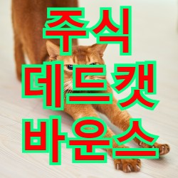  주식시장 반등 시작일까 아니면, 데드캣 바운스일까?