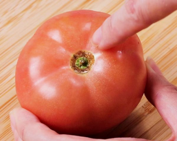 토마토 자르는법, 토마토 오목한, 팁줌