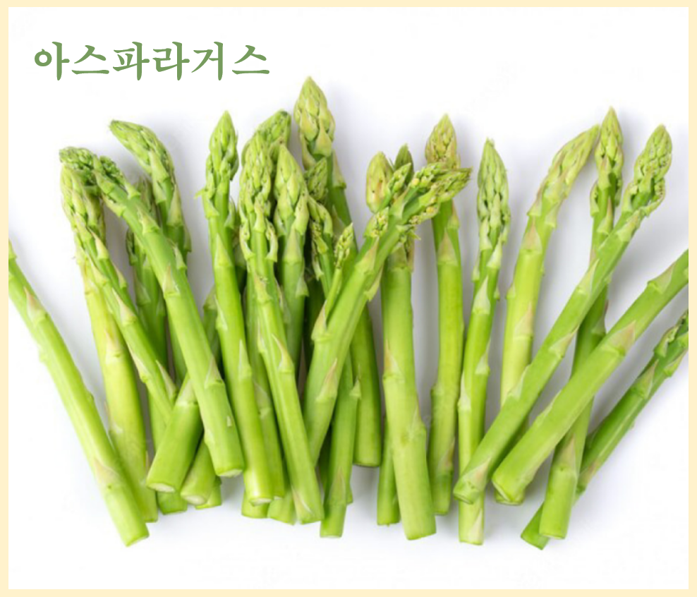 아스파라거스 재배와 건강 효능에 대한 완벽 가이드