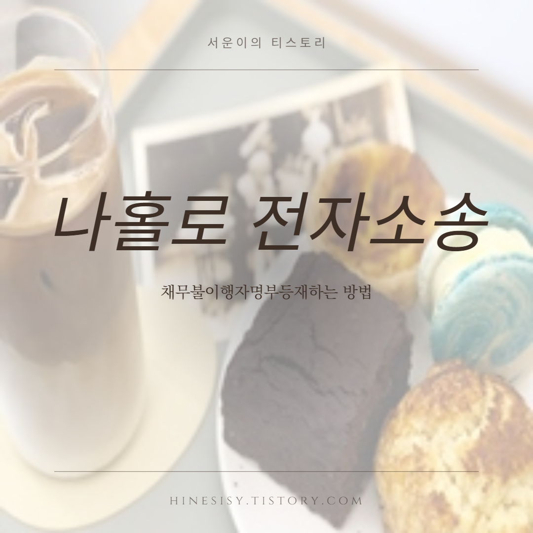  나홀로 셀프 전자소송 채무불이행자명부등재 하는 방법