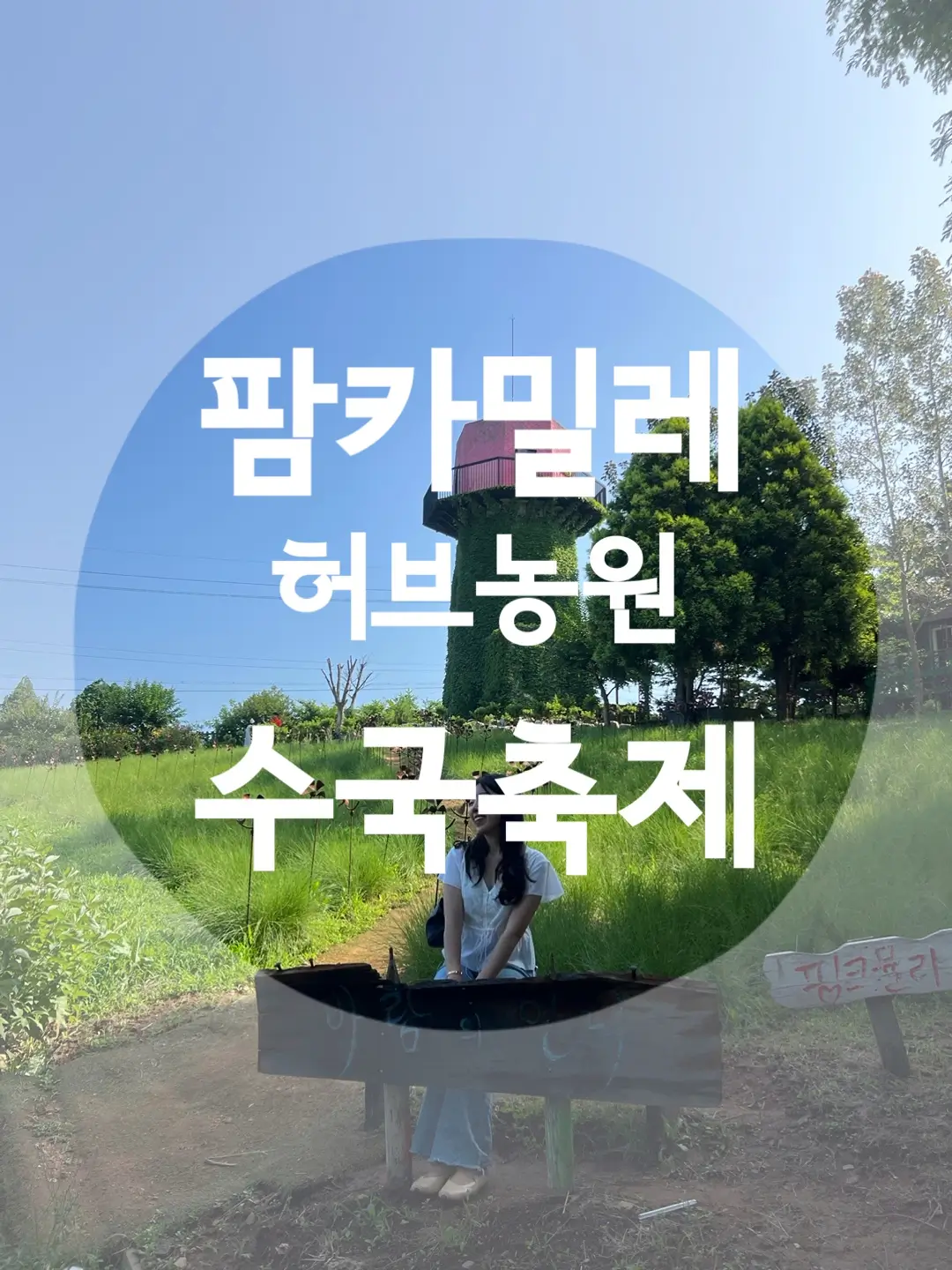  태안 팜카밀레 수국축제 충남 여행지 추천