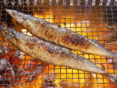 꽁치 효능 10가지 23