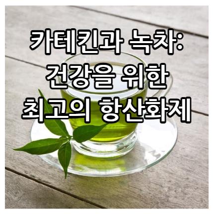 카테킨과 녹차: 건강을 위한 최고의 항산화제