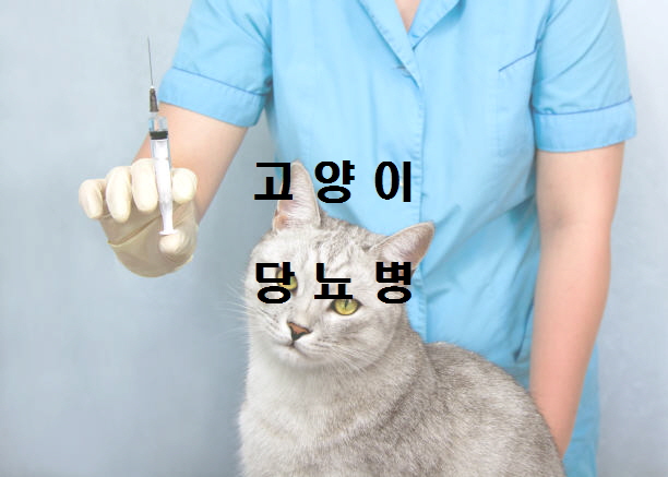  노다지네 잡학다식