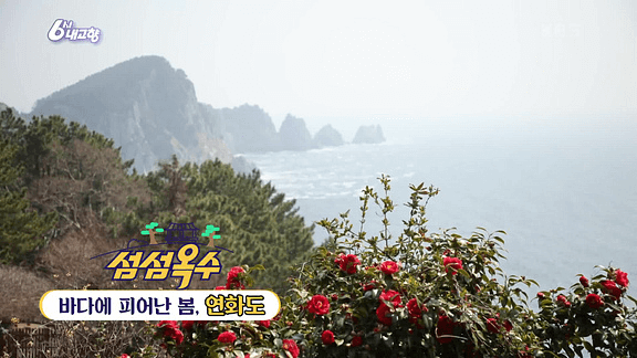 6시 내고향 정보