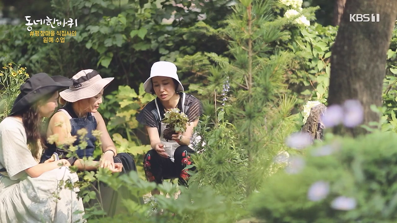 동네 한 바퀴.E238.230903p-NEXT.mp4_20230903_194009.430.jpg