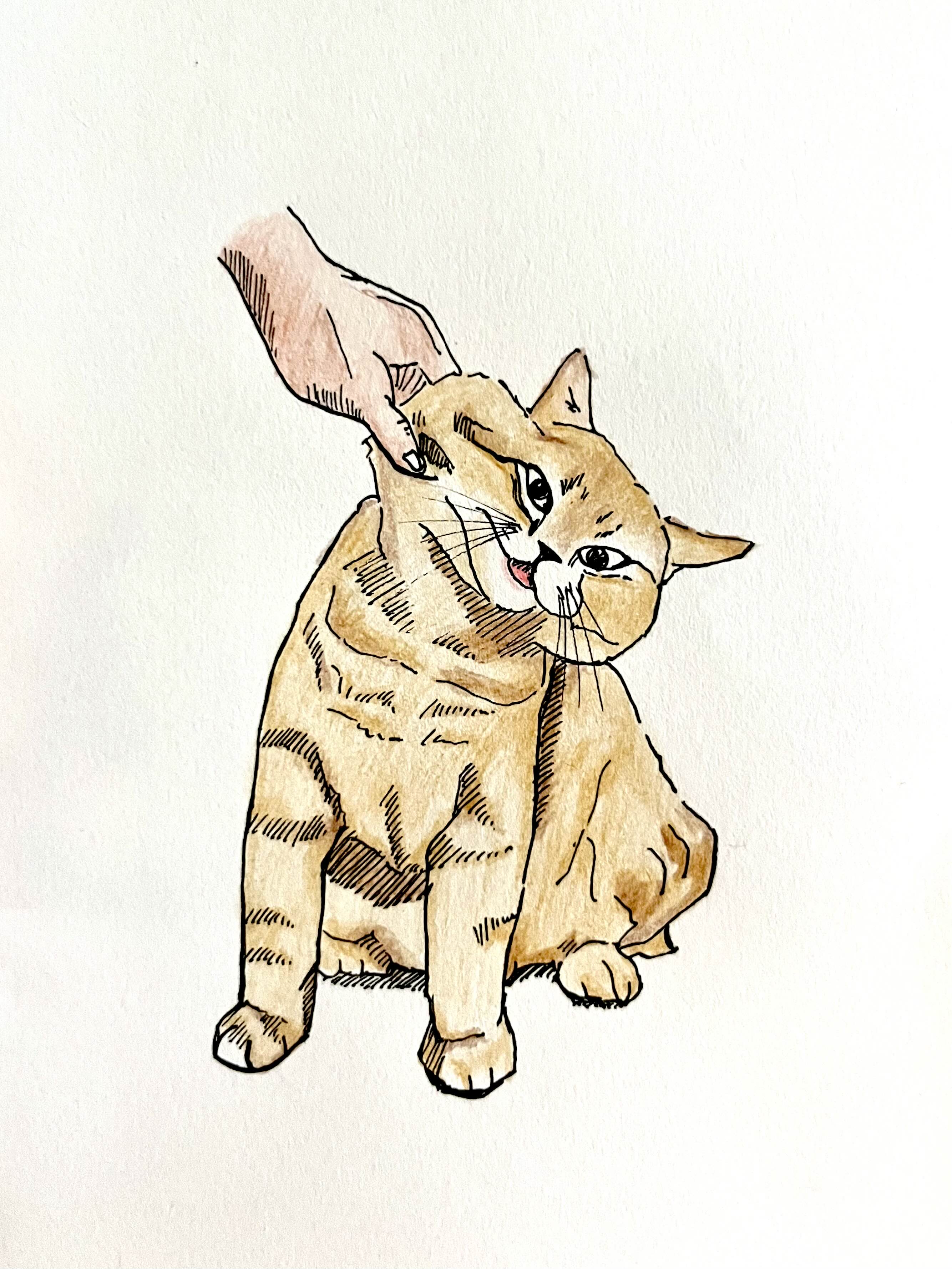  [취미생활 : 그림] 말랑말랑 고양이 그림 (펜그림)
