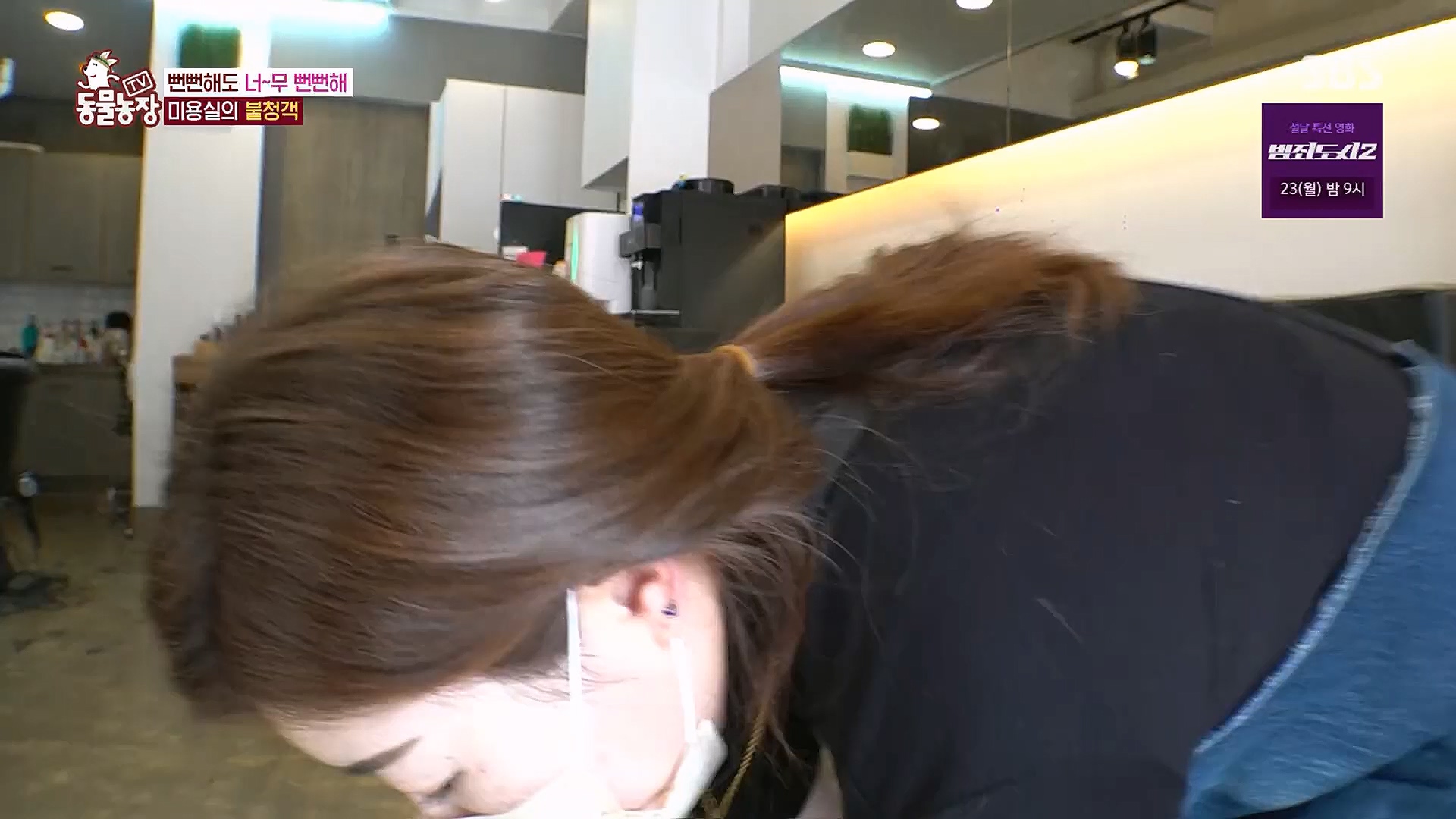 TV 동물농장.E1104.230115p.H264-F1RST.mp4_20230115_173206.136.jpg