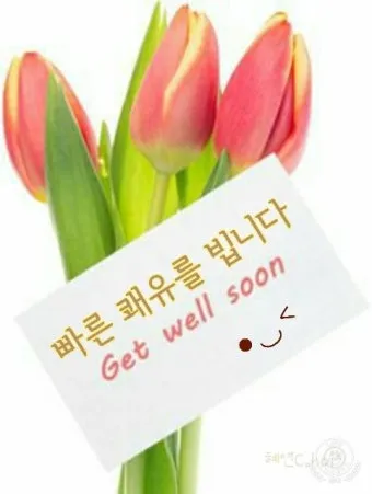 건강한 회복을 기원하며 전하는 진심 어린 쾌유 문구 5가지_22