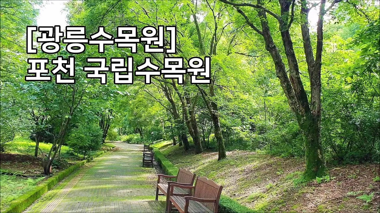 숨겨진 힐링 명소로 떠나는 포천 광릉수목원 완전 정복 가이드북 2025_2