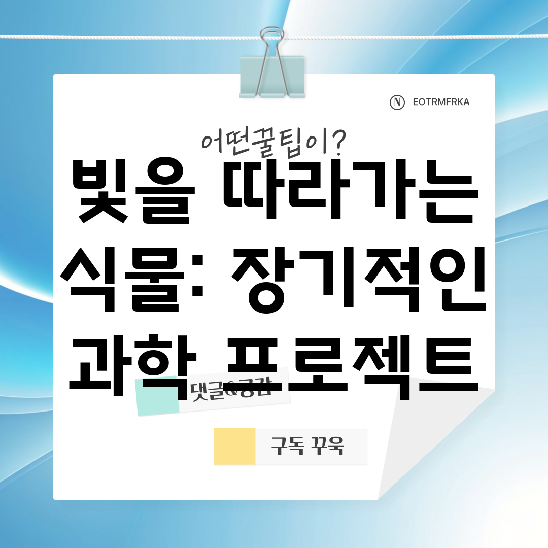 빛을 따라가는 식물 장기적인 과학 프로젝트