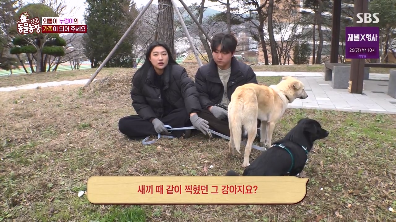 TV 동물농장.E1154.240115p-NEXT.mp4_20240114_184124.829.jpg