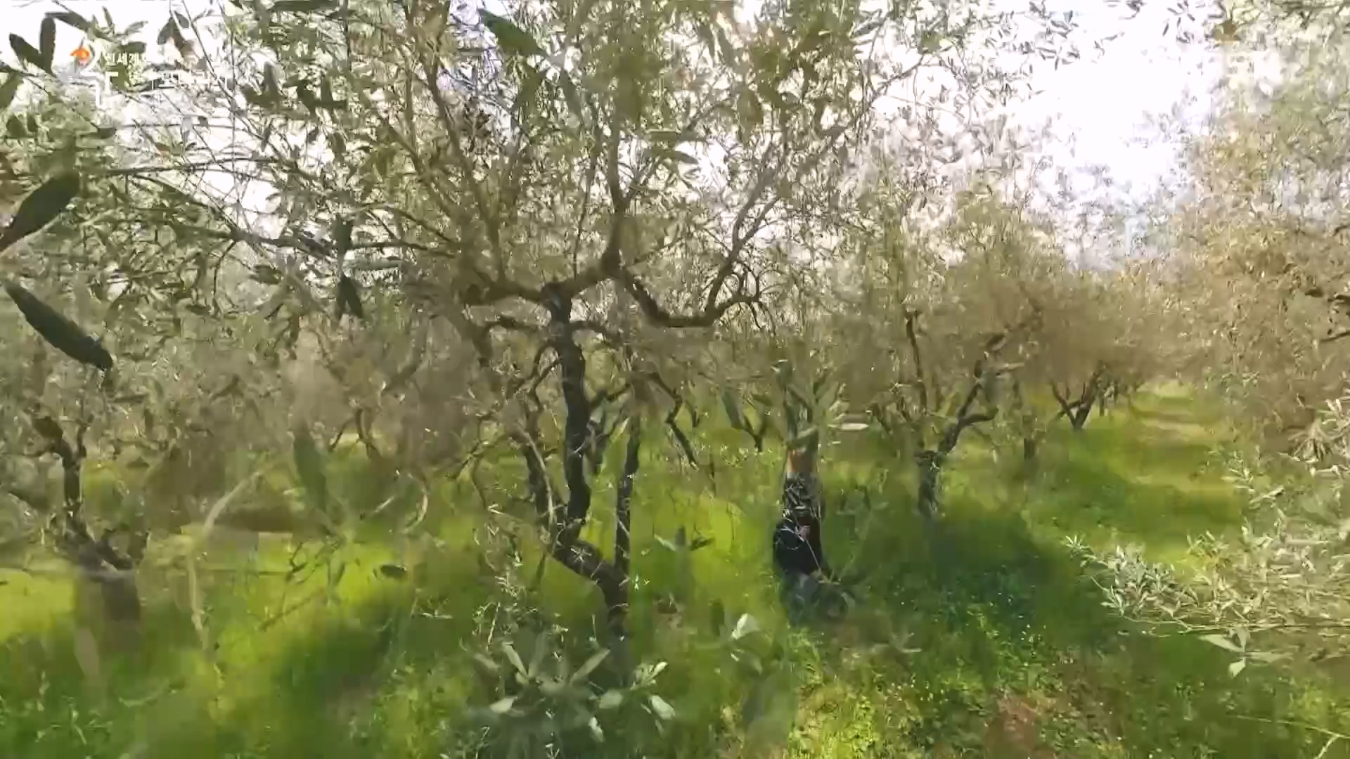 다큐 인사이트.E170.231109p.H264-F1RST.mp4_20231110_210621.035.jpg