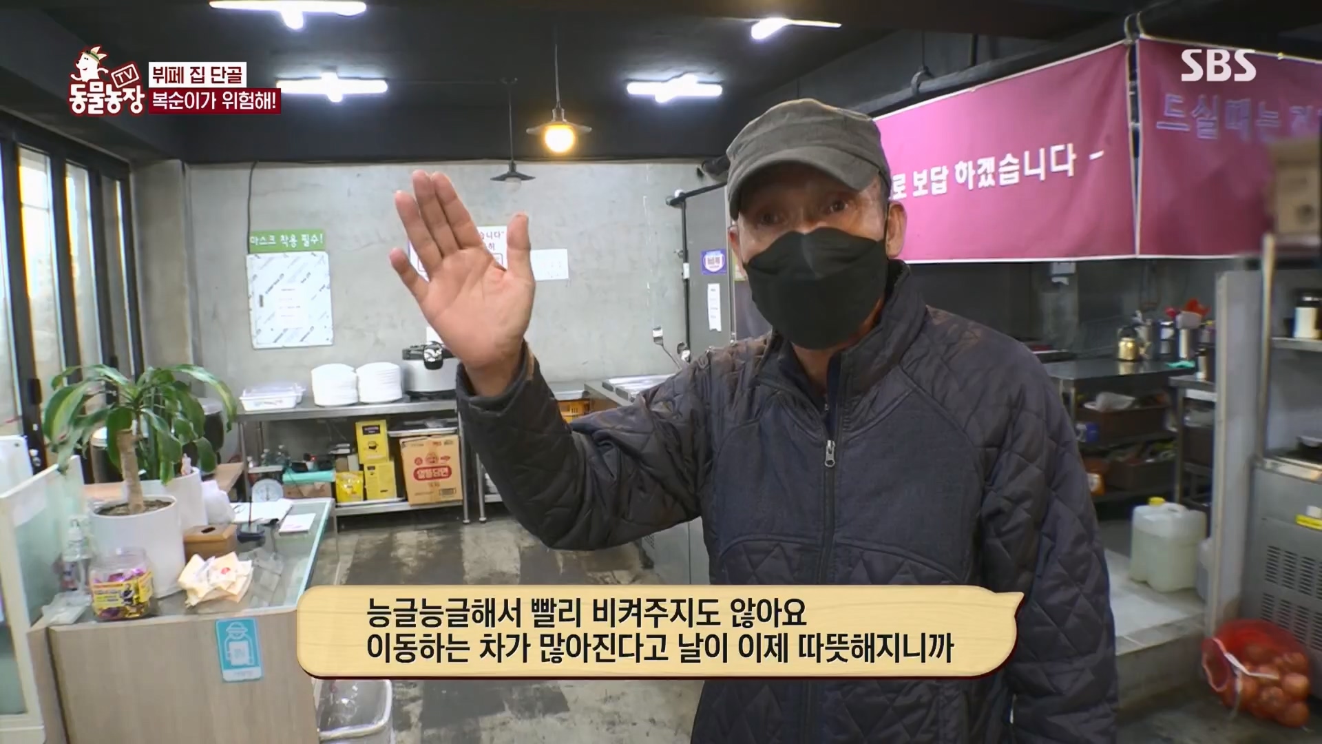 TV 동물농장.E1116.230416p.H264-F1RST.mp4_20230418_194202.006.jpg