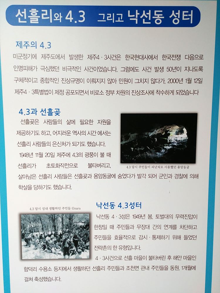 제주4.3평화기행. 선흘리와 낙선동 안내판