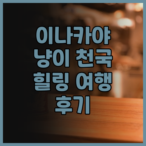이나카야, 온천은 아쉽지만.. 냥이들