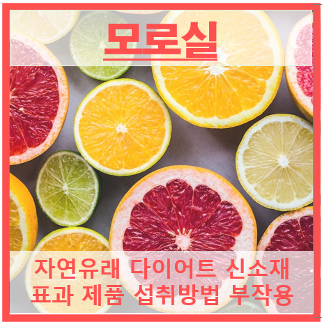 모로실 썸네일