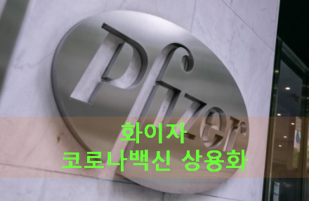  화이자코로나백신 예방효과 90%넘어 기대이상으로 증시유가 급등, 내년상반기 중 코로나백신 상용화예상