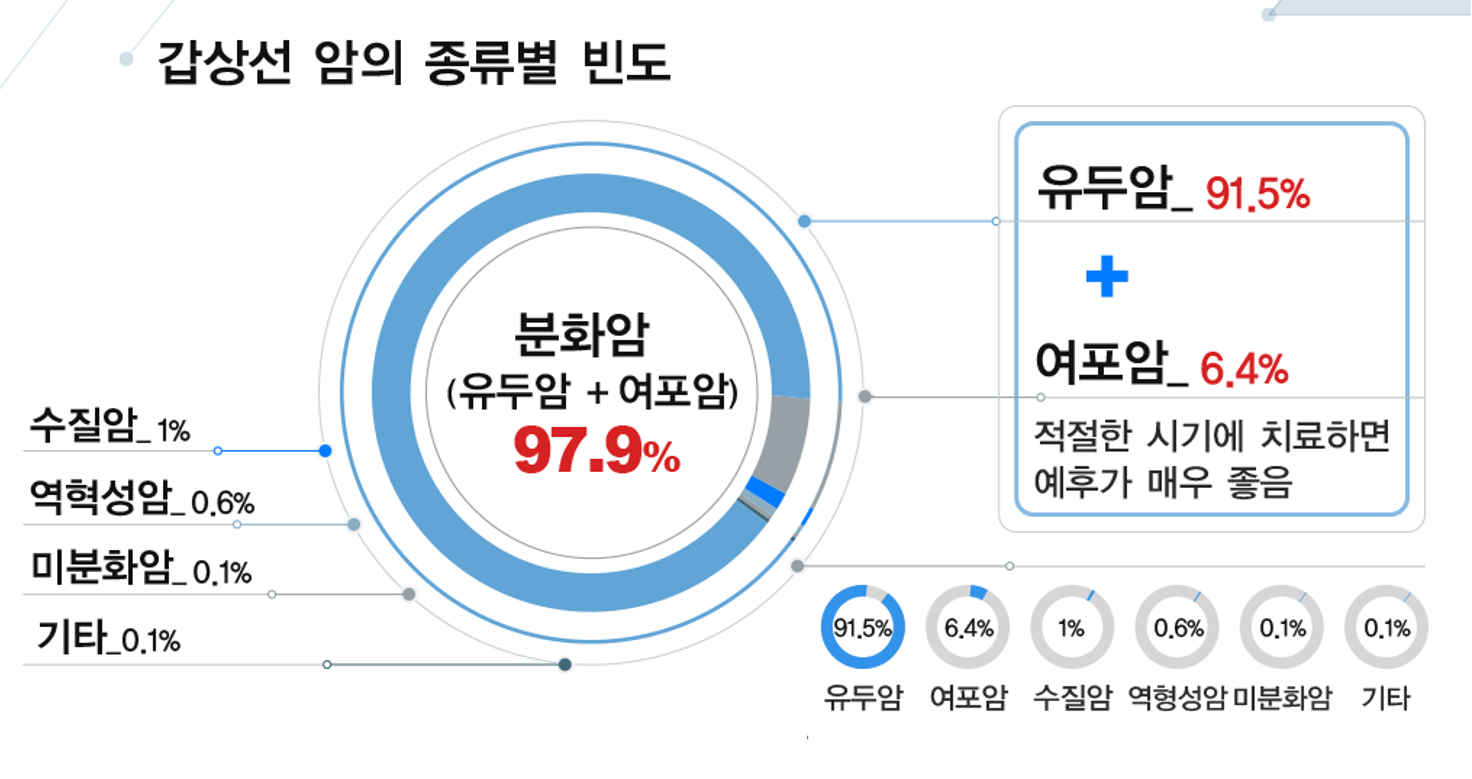 갑상선 사진