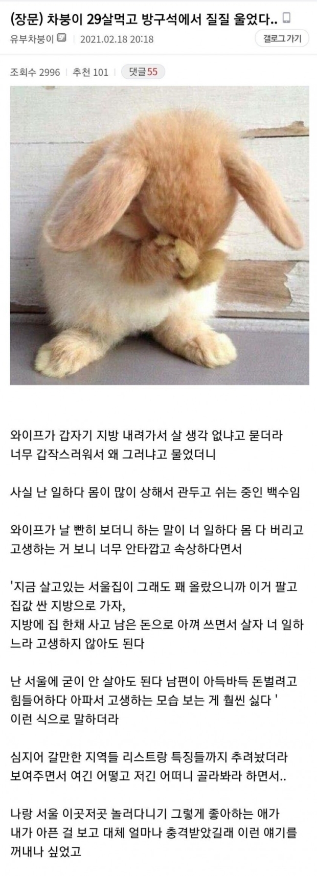  29살 먹고 방구석에서 질질 운 디씨인.JPG