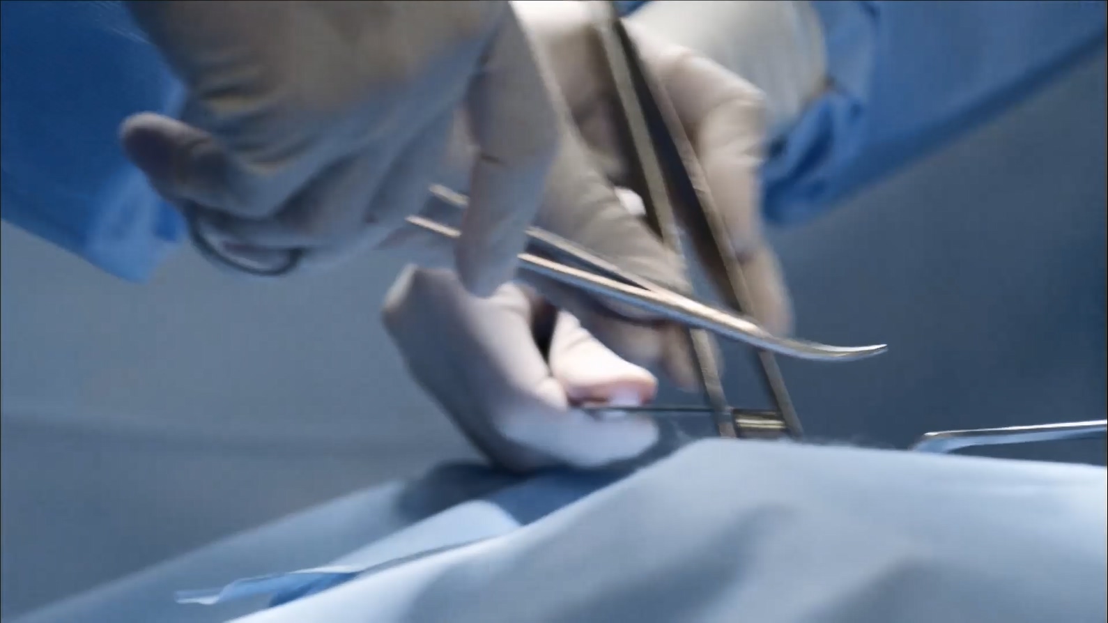 굿 닥터 Good.Doctor.S01E12p.NF.WEB-DL.AAC2.0.x264-LeON.mkv_20230625_215054.473.jpg