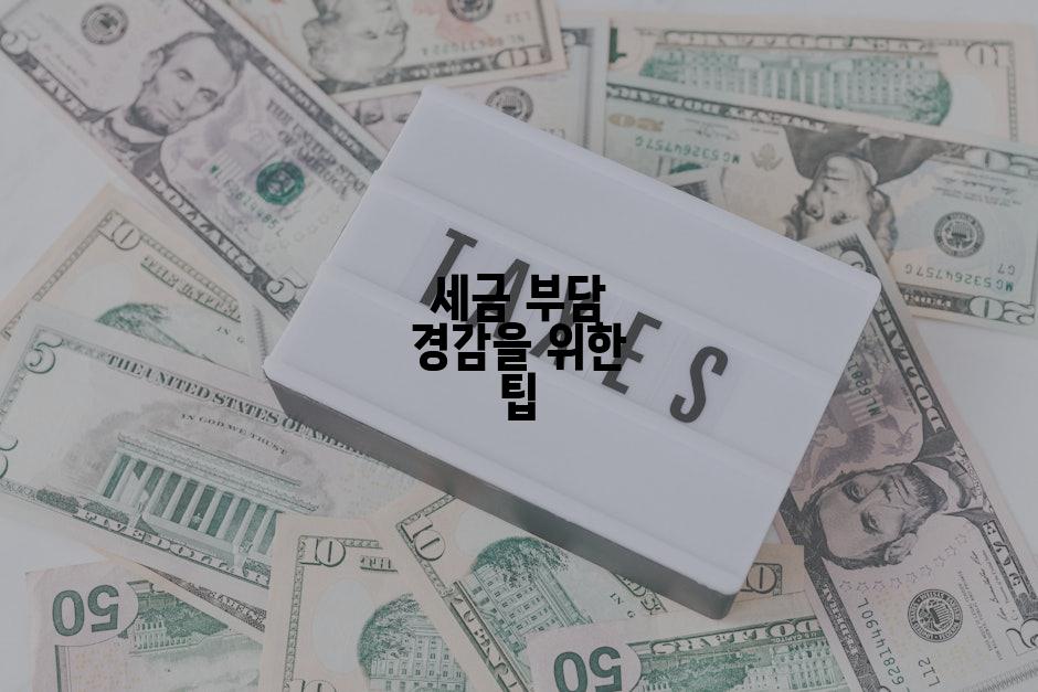 세금 부담 경감을 위한 팁