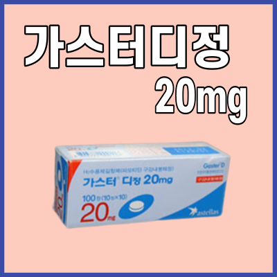 가스터디정_20mg