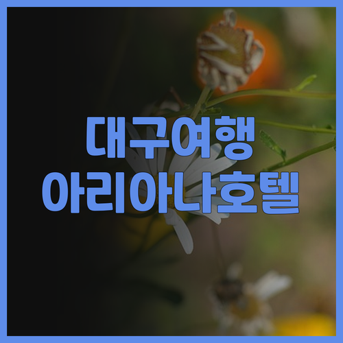 아리아나 호텔.. 대구 여행의 완벽한
