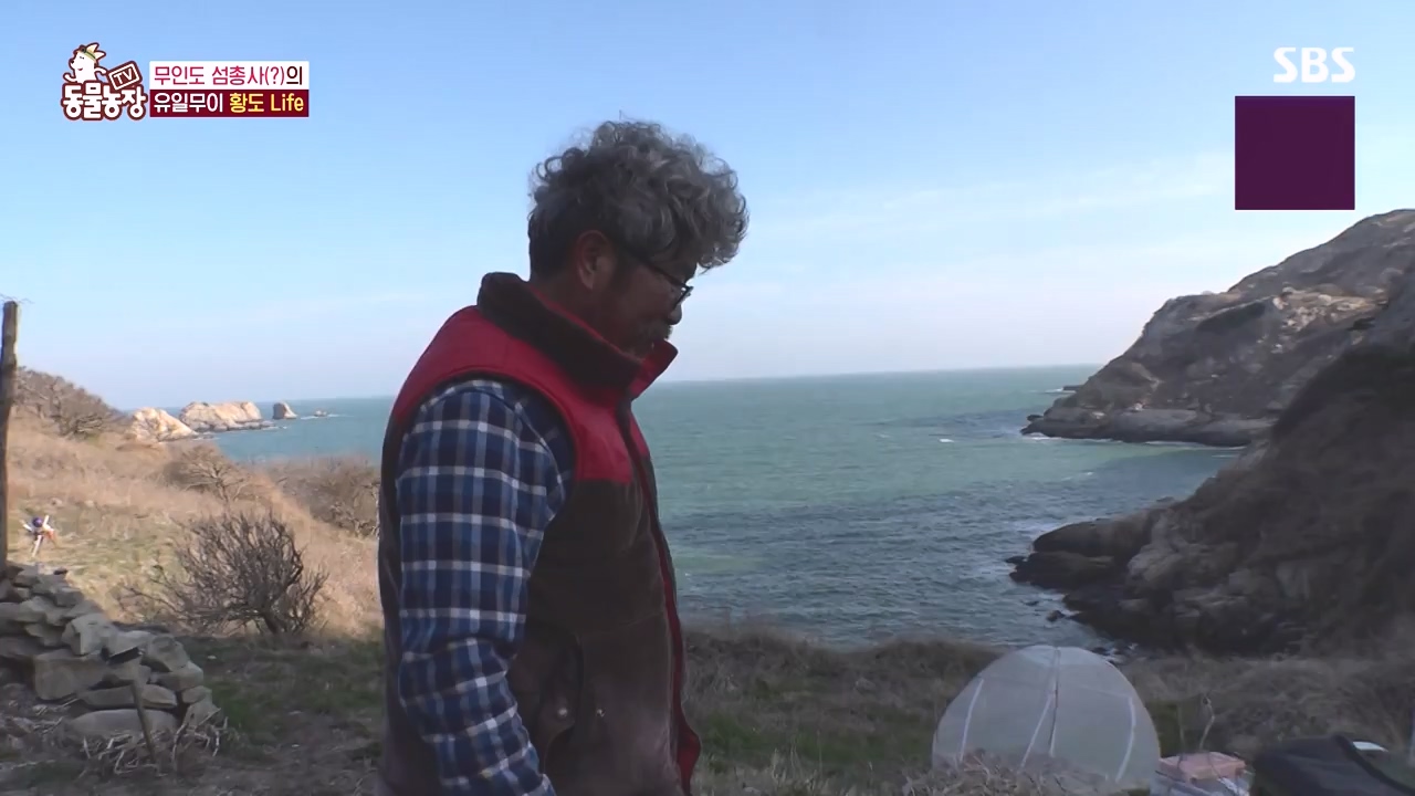 TV 동물농장.E1171.240513p-NEXT.mp4_20240512_163337.412.jpg