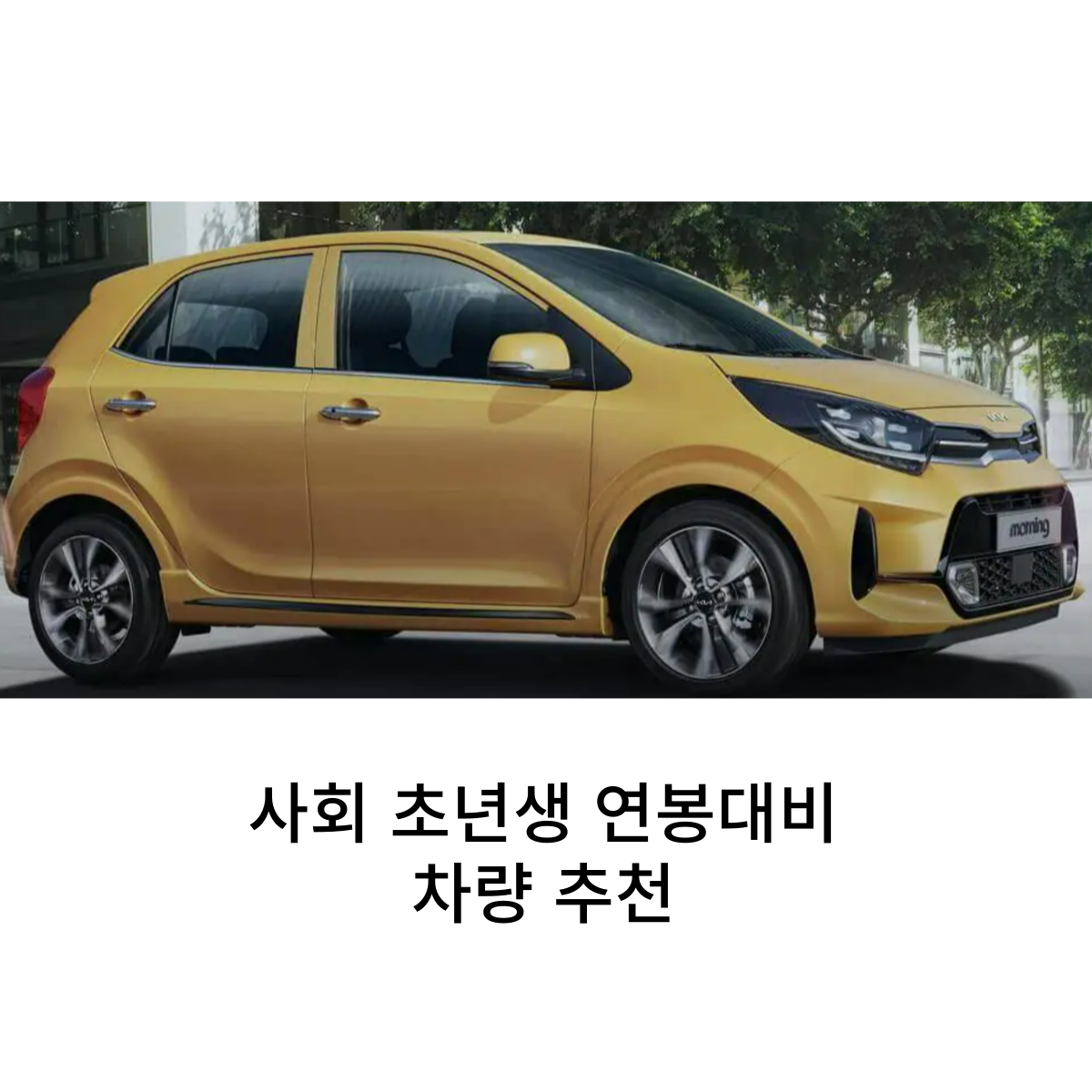 사회초년생자동차추천