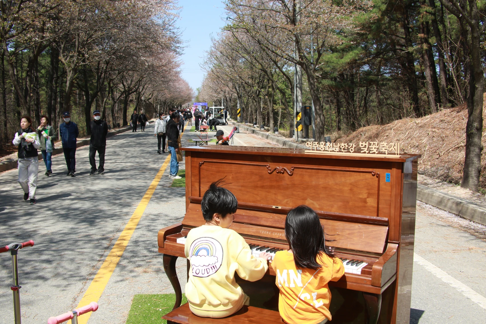 여주흥천남한강 벚꽃축제