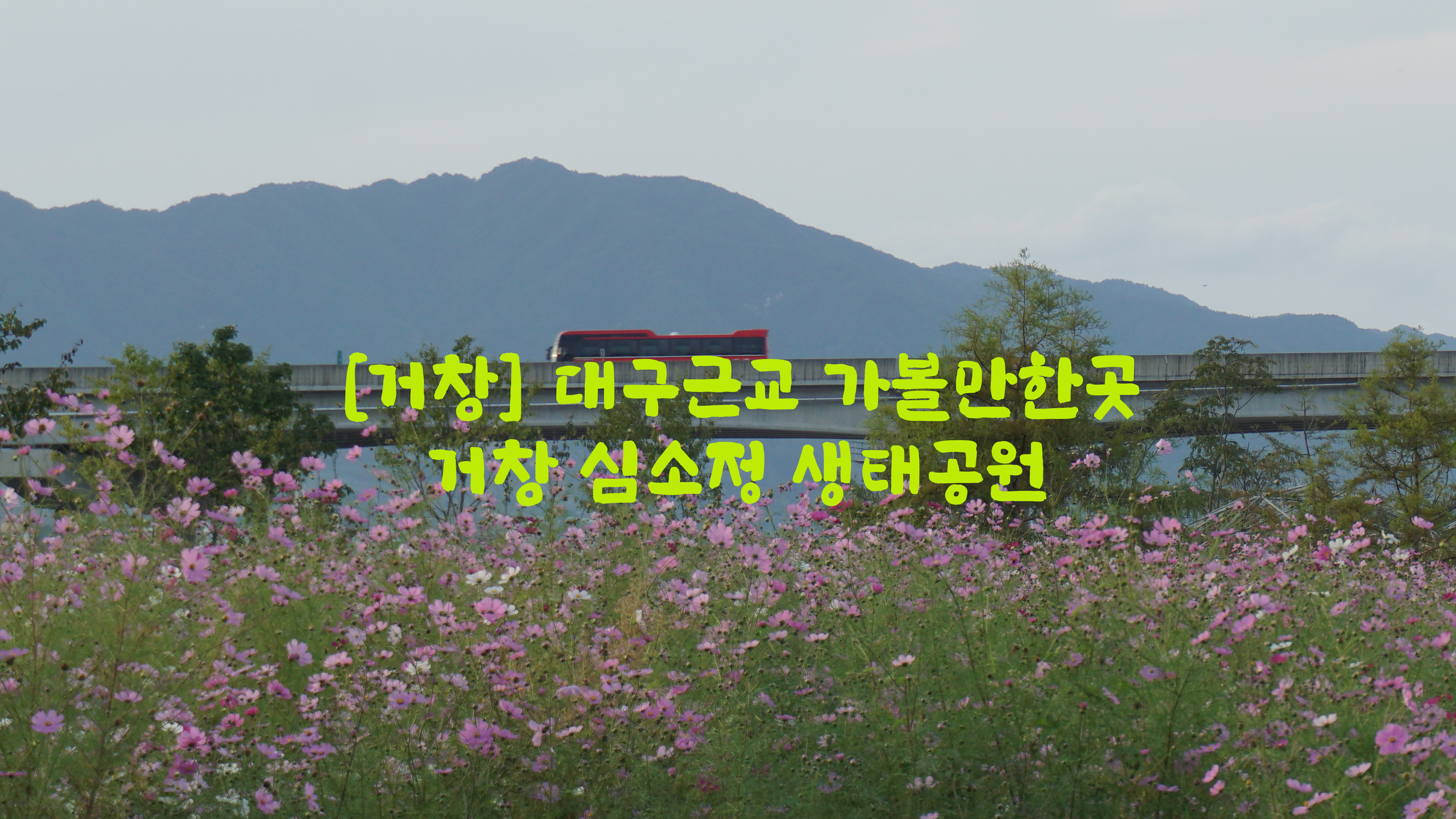  [거창] 대구근교 가볼만한곳…거창 심소정 생태공원