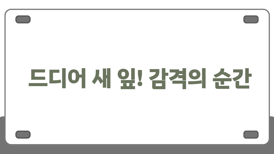 몬스테라 딜라체라타 키우기, 6개월 만에 새 잎이? 🌱 눈물 없인 볼 수 없는 성장기 - 드디어 새 잎! 감격의 순간 몬스테라 딜라체라타 키우기, 6개월 만에 새 잎이? 🌱 눈물 없인 볼 수 없는 성장기 - 드디어 새 잎! 감격의 순간