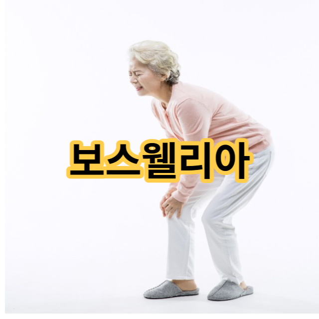  관절 연골 건강엔 보스웰리아 가루 먹는법 부작용 및 주의할 점