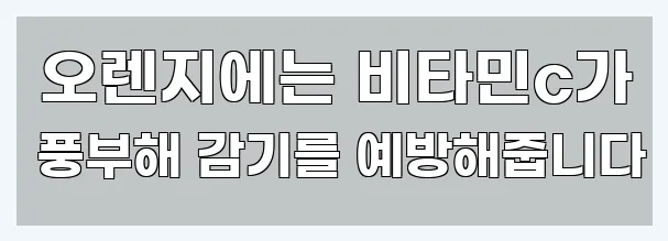  오렌지에는 비타민c가 풍부해 감기를 예방해줍니다