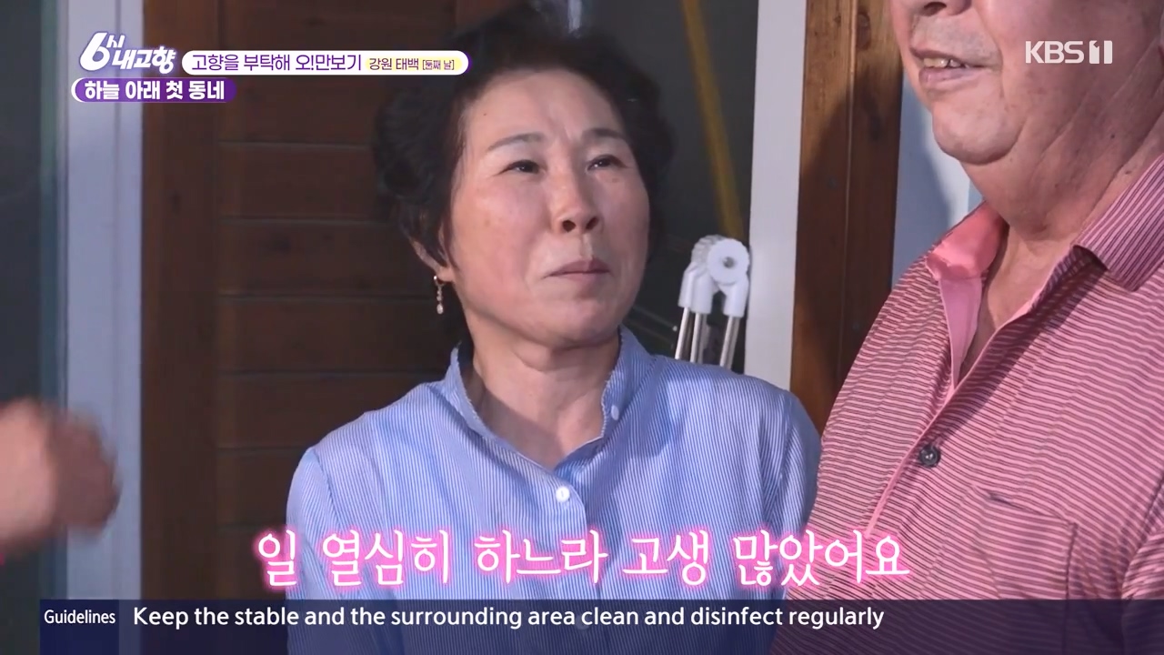 6시 내고향.E7910.231032p-NEXT.mp4_20231101_204433.778.jpg