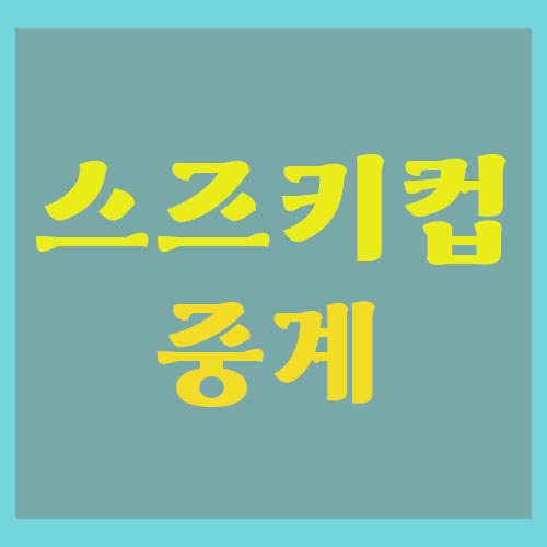스즈키컵-결승중계