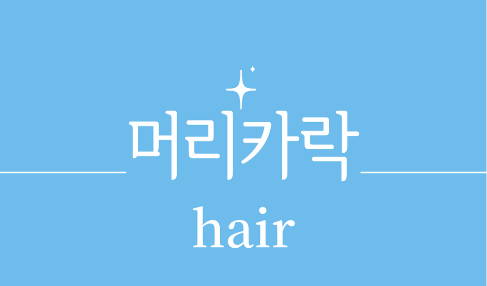 &#39;머리카락(hair)&#39;