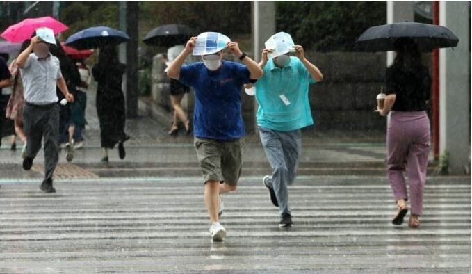 비가내리는모습-우산을쓴사람들의모습