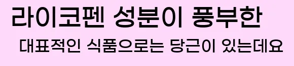  라이코펜 성분이 풍부한 대표적인 식품으로는 당근이 있는데요.